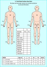 Lund And Browder Burns Assessment Chart A Means Of