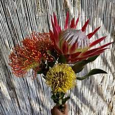 Maybe you would like to learn more about one of these? Mayesh Wholesale Florist 17 Photos Wholesale Stores 755 Wall St Los Angeles Ca Phone Number Yelp