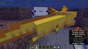 Axolotl, brute axolotl, golden axolotl, alphine axolotl, poisonous axolotl. What Is The Rarest Axolotl In Minecraft