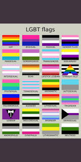 One side printed, however flag is transparent and other side is 90% visible, although not as vivid as the front side. New Lithromantic Memes Singularism Memes Possibly Memes Butched Memes
