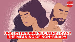 The lgbtqia+ meaning may seem confusing to some, but each letter means something different. Understanding Sex Gender The Meaning Of Non Binary Boom Lgbtqia Non Binary Explained Youtube