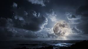 Select desktop wallpapers in all high resolutions, including hd 1920x1080, 1920x1200, and 3840x2160 for 4k screens Moon Wallpaper 2560x1440