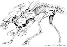 They are one of the characters in alien vs. Drawing Dragonrise Studio