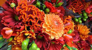 Maybe you would like to learn more about one of these? Coastal Wholesale Florist Inc Linkedin