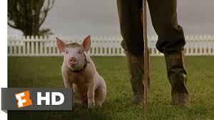 Pig is not only a mesmerizing while meditative drama about love and loss. That Ll Do Pig Babe 9 9 Movie Clip 1995 Hd Youtube
