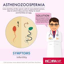 Pin On Male Infertility
