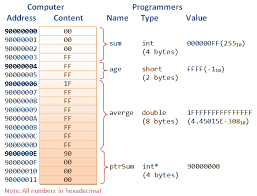 This means that a pointer to an element of a vector may be passed to any function that expects a pointer to an element of an array. C Pointers References And Dynamic Memory Allocation