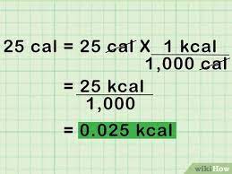 Type in the amount you want to convert and press the convert button. How To Convert Kilojoules To Calories 7 Steps With Pictures