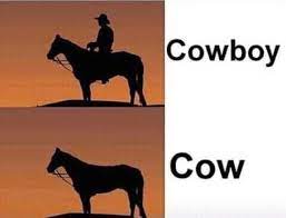 Pin By Rainbowunicorn On Life In 2020 Funny Memes Funny Relatable Memes Stupid Funny Memes