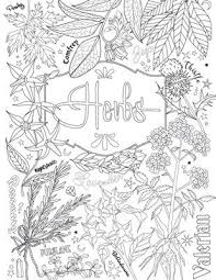 Coloring Book Of Shadows Have You Always Known You Were Magic The Coloring Book Of Shadows Is A Delightf In 2020 Witch Coloring Pages Book Of Shadows Coloring Books