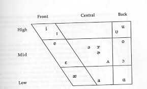 English Ipa Vowel Quadrilateral Speech Language Pathology