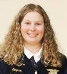 Former SRO officer arrested for DWI over holiday weekend