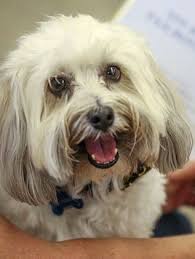 Photos: Neighborhood Post 1016