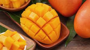 Can Dogs Eat Mango? | Dragonfly Products