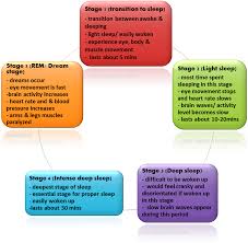 5 Stages Of Sleep Chart