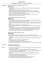 business analyst, digital resume