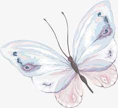 Hand Painted Watercolor Butterfly Material Watercolor Butterfly Butterfly Material Png Transparent Clipart Image And Psd File For Free Download Butterfly Watercolor Butterfly Drawing Butterfly Art