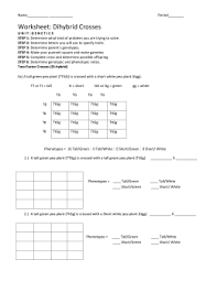 Savesave dihybrid cross worksheets for later. Dihybrid Cross Worksheet Answers Preview Answer Key Guidance 2021