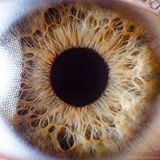 Extreme Close Up Of Human Eye Macro Suren Manvelyan Eye Close Up You Have Beautiful Eyes Eye Photography