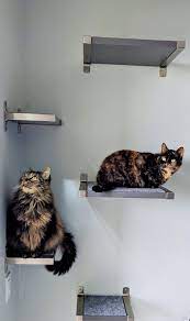 You can see how the shape of this would lend really well to turning this into your own diy cat shelf, with l brackets supporting it through the two. Floating Cat Shelves With Ikea Granhult Ikea Hackers In 2021 Cat Wall Shelves Floating Cat Shelves Cat Shelves