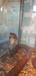 書籍絶賛発売中!★ 2019年11月30日 一巻 2020年6月30日 二巻. Wlkht0btuq2djm