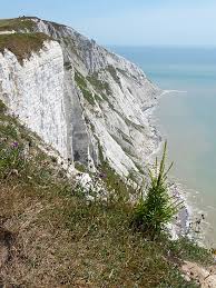 We've got everything you need from a country. Eastbourne Beachy Head To Belle Tout Lighthouse Speysight