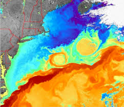 Ocean currents flow in complex patterns and are the gulf stream is one of the strongest ocean currents in the world. Let S Talk About The Gulf Stream Scuttlebutt Sailing News