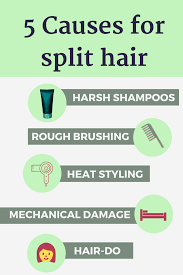 Honey basically nourishes the split ends. How To Stop Split Ends Without Losing Length Invisible Lioness