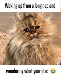 Beauty Studio Waking Up From A Long Nap And Wondering What Year It Is Facebook