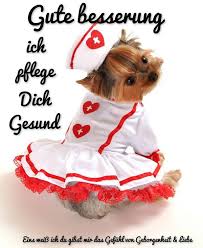 Á Gute Besserung Bilder Gute Besserung Gb Pics Gbpicsonline Die app ist kostenlos, leicht zu bedienen und so weit verbreitet, dass nutzer sich darauf verlassen können, mit dem großteil ihrer kontakte über die app chatten zu können. gute besserung gb pics