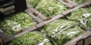 Case Study: John Palin Fresh Produce