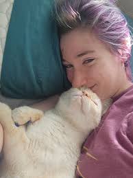 Lost orange tint siamese cat in Olympia