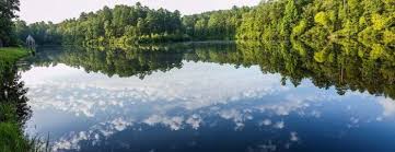 10 Totally Kid Friendly Hikes In Arkansas That Are 1 Mile And Under Wildwood Park Nature Trail Hiking
