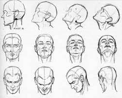 Looking Head Tilting Perspectives Drawing Proportions Andrew Loomis Drawing Heads
