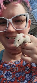 Sir Didymus and Ambrosius. Just picked them up to join Jareth, Hoggle, and  Goblin (after quarentine of course!)