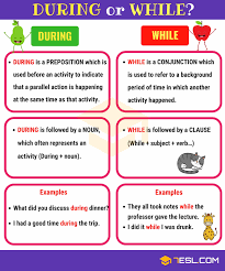 During Vs While Is During A Preposition Learn English English Vocabulary Learn English Words