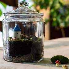 All you need for an indoor fairy garden is a pot or planter, some small plants, garden or potting soil and whimsical accessories. Fairy Garden Terrarium Using Living Moss To Make A Sweet Gift Hearth And Vine