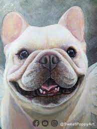 牛牛 法國鬥牛犬 寵物肖像畫 sweet poppy art poppy art bulldog animals