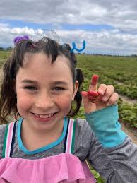 Diane Maxwell Beaudin (@diane.max.beau) • Instagram photos and videos