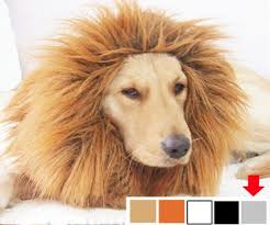Aslan Lion Mane Pet Costumes Cat Pet Costumes Dog Lion Costume