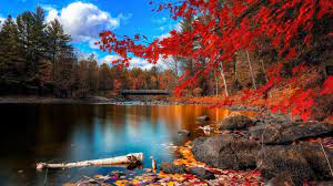 Fall scenes wallpaper and screensavers autumn yard. Autumn Scenery Wallpapers Wallpaper Cave