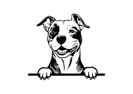 PEEKING AMSTAFF Svg, Peeking Amstaff Clipart, Peeking Amstaff Svg Files for  Cricut