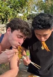 Kung Pao Chicken Noodles Recipe for Quick Meals