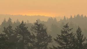 Vancouver skies blanketed by wildfire smoke (photos) sep 12, 2020 12:57 pm. Air Quality Advisories Posted For Vancouver Island Due To B C Wildfire Smoke Ctv News