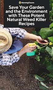 Pin On Garden Ideas