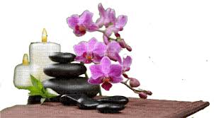 fleur asiatique.Cheyenne63, cheyenne63 - PicMix