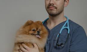 Maybe you would like to learn more about one of these? Family Pet Health Center Veterinarian Services