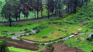 15 Best Places To Visit In Ooty In 2 Days In 2020 For A Perfect Weekend Cool Places To Visit Tourist Places Ooty
