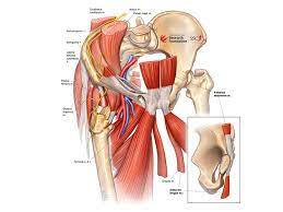 Football and soccer players are at high risk of groin pull. Athletic Groin Pain Sports Medicine And Orthopaedic