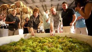 21692 eighth street east, suite 340. Tin Barn Vineyards Corrugated Wine Club Youtube